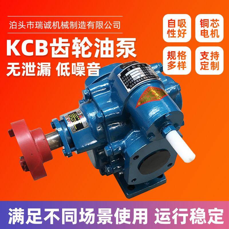 齿轮油泵KCB-200-960整机单相220V机油泵液压泵三相380V高压泵