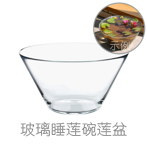 要买网红大d号玻璃Ins风碗莲睡莲水边盆水族造景无孔观背鳉缸插花