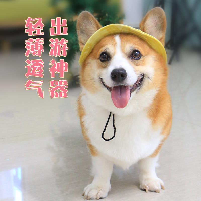 宠物帽子狗狗装饰拍照可爱网红饰品用品柯基泰迪小型犬夏天遮阳帽