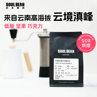 树本 云南咖啡豆深度烘焙精品SOE无酸阿拉比卡7日内烘焙单品豆