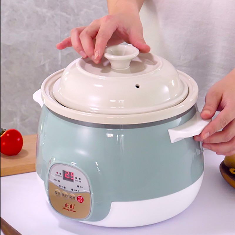 养生壶家用多功能迷你小型煲汤熬煮粥神器智能陶瓷电炖汤锅全自动