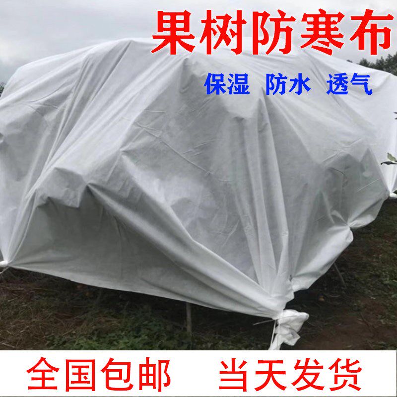 防寒布保温膜柑橘农用果园果树防水透气透光防霜U防冻耐用无纺布