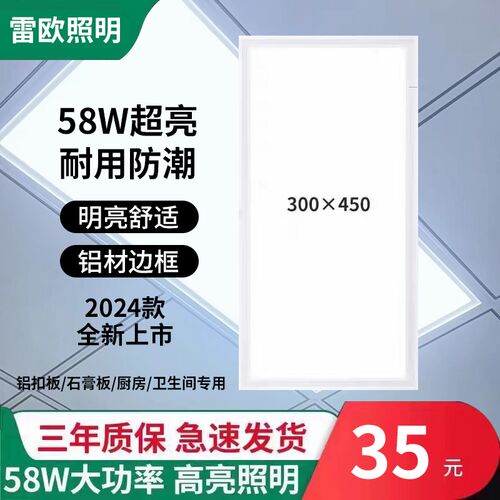 雷欧集成吊顶灯LED平板灯300*450铝扣板灯厨卫30X45嵌入式厨房灯