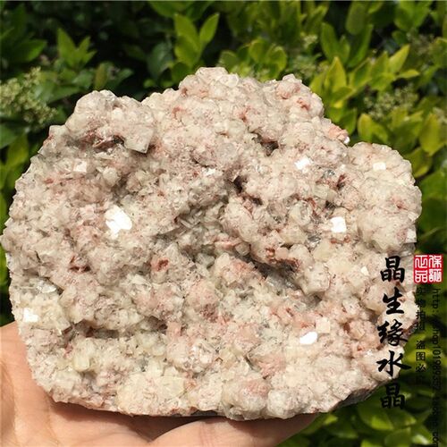 天然水晶鱼眼石沸石共生包裹矿矿Y物750克