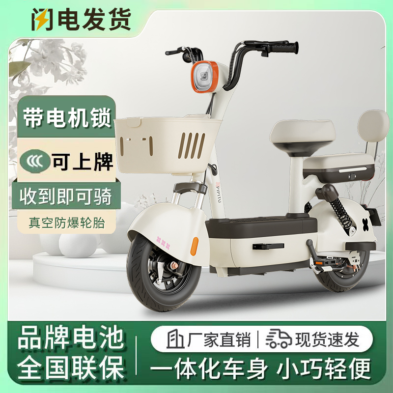 2025年新款电动车电瓶自
