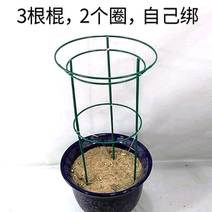 新款蟹爪兰支架蟹爪莲支架铁固定嫁接伞型支撑高50厘米组装花架