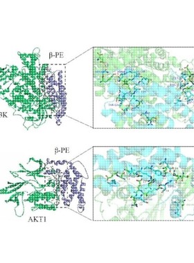 分子动力学模拟 DFT计算高斯 MS Gaussian Materials studio