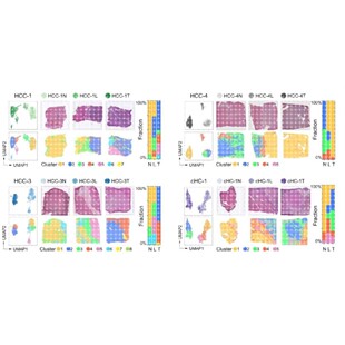 农学园艺SCI生信分析2 科研服务 5转录组基因组测序数据生信挖掘