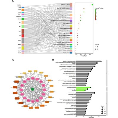 分子动力学模拟gromacs 分子模拟仿真