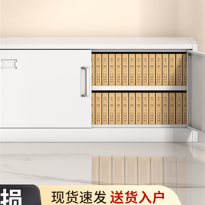 单节文件柜加隔板钢制文件柜v办公室铁皮资料柜档案柜学生储物柜