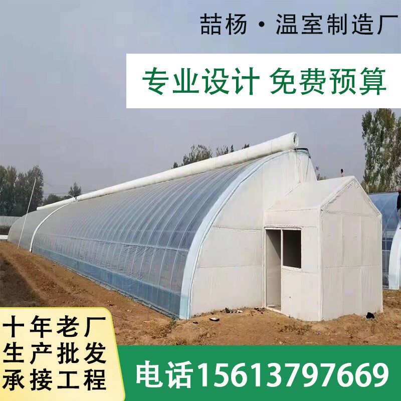 喆杨智能温室大h棚 薄膜暖棚 农业蔬菜大棚 种植养殖温室大棚骨架