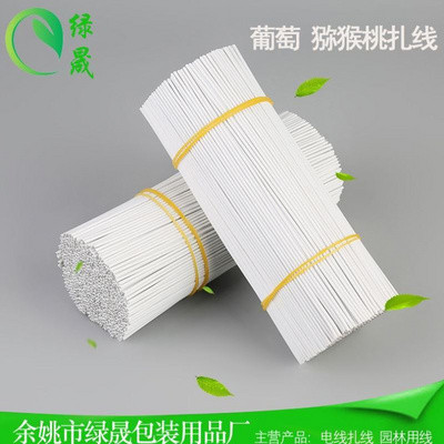 绑葡萄的扎丝园艺铁丝扎线带捆扎园D艺包塑铁丝园艺绑扎线园艺扎