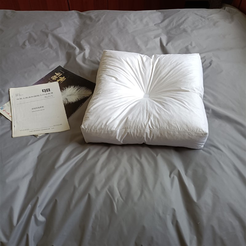 枕头枕芯定制家用出口酒店民宿羽绒枕芯枕头抱枕芯靠垫白鸭绒