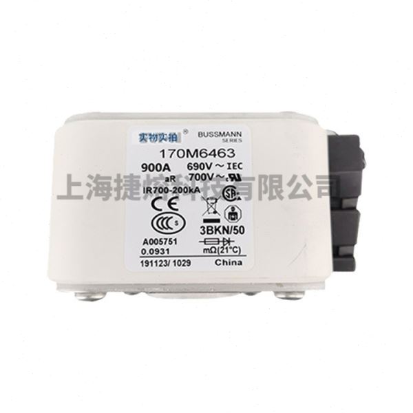 170M6462  170M6463   快速熔断器  保险丝 电子元器件 量大价优