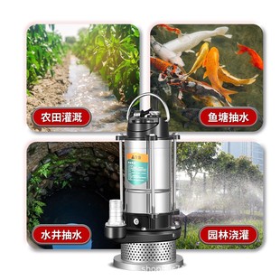 潜水泵220v家用小型不锈钢水泵高扬程大流量农用灌溉自动抽水泵