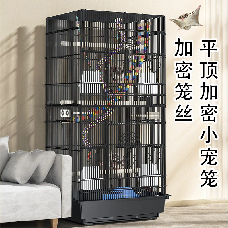 蜜袋鼯松鼠笼子专用互动