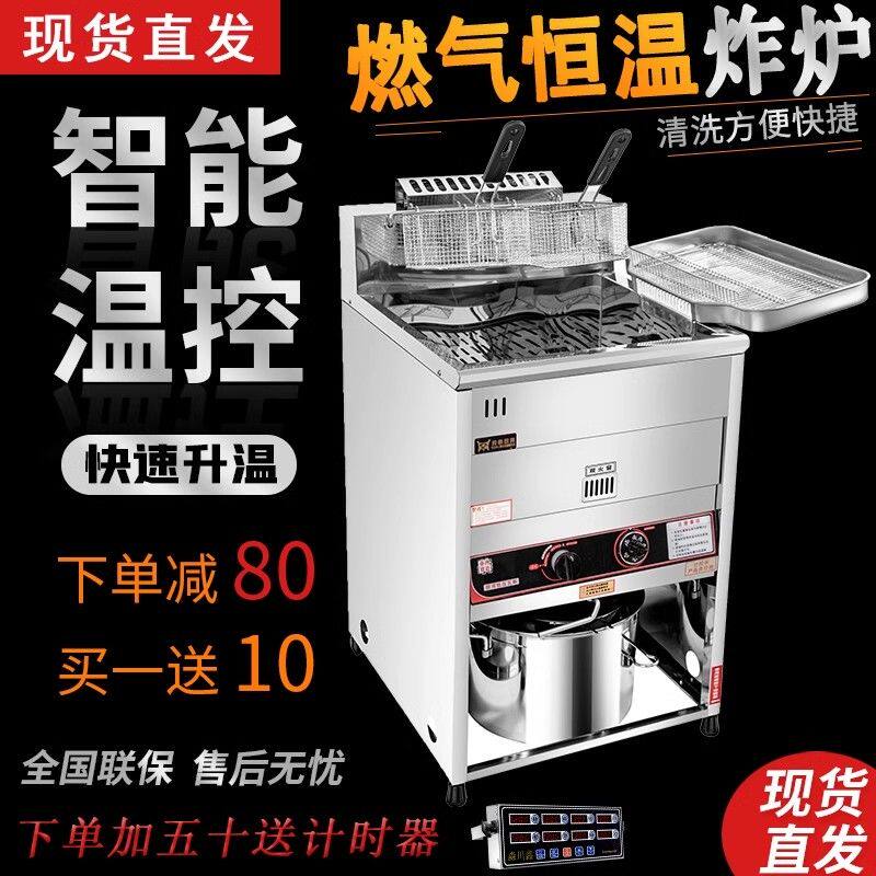 豹鼎立式商用煤气炸炉电