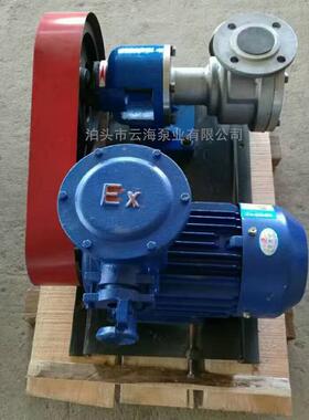 NCB120/0.5转子泵NCB-80/0.5内齿泵厂家河北高粘度泵