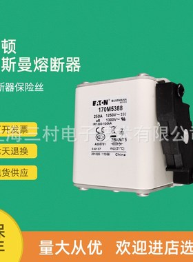 全新原装快速熔断器保险丝l170M5371 170M5374 170M5388 170M5389