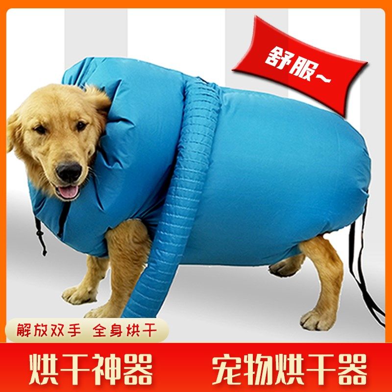 宠物洗澡烘干袋箱家用小型吹风A机猫咪吹水机狗大型犬神吹干器自