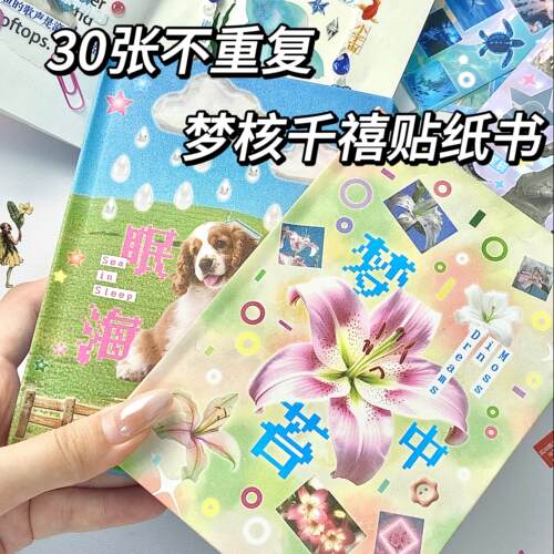 30页新风格贴纸书快来尝尝！