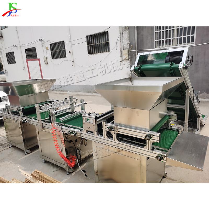 全自动穴盘育苗播种机云南贵州花卉种子种植机蔬菜苗育苗机