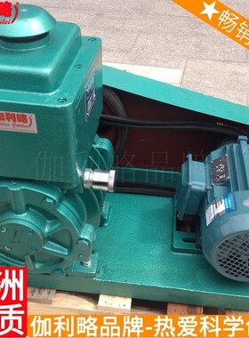 -70式-30a70kpa-1507.5kw4l3l70l1l/s-22x旋片真空泵 伽壹