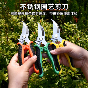 花剪枝园艺剪刀修枝剪省力修剪树枝果树竹签园林花卉专用花艺剪子