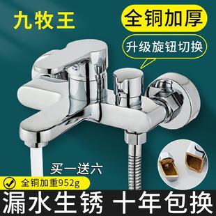 家用全铜卫浴淋浴器卫生间浴室简易沐浴龙头淋雨喷头 淋浴花洒套装