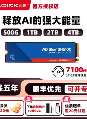 闪迪原西数sn5100 1t固态硬盘2t m.2 4t笔记本台式ssd硬盘