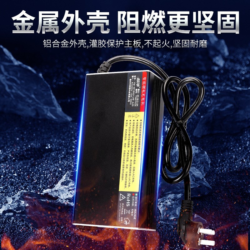 老头乐三轮电动车两轮电摩三元锂磷酸铁锂通用电压电流可调充电器