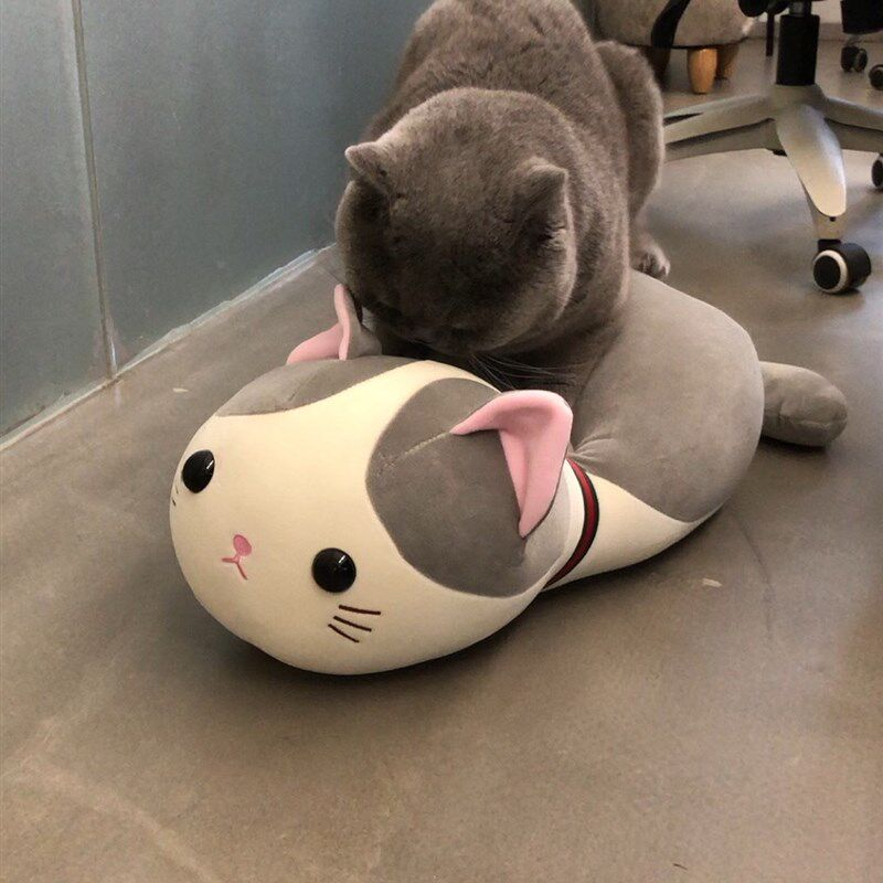 公猫性发泄玩具猫咪发情伴侣宠物玩具性发泄用品宠物抱枕发情期用