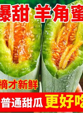 四季超甜羊角瓜羊角蜜种子甜瓜种籽羊角酥羊角脆香瓜种子阳台瓜果