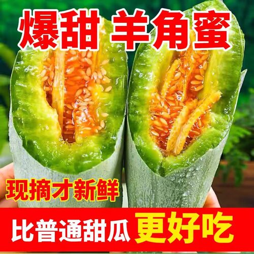 四季超甜羊角瓜羊角蜜种子甜瓜种籽羊角酥羊角脆香瓜种子阳台瓜果