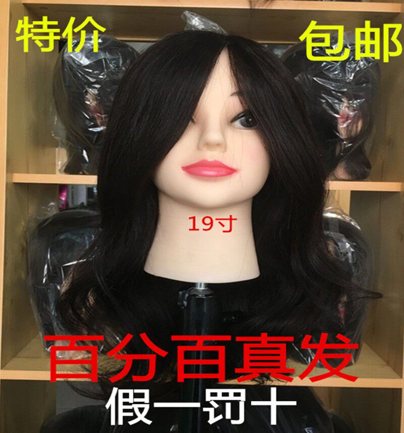 富康学校美发教学头100%全真发教习头/公仔头/模特头假头模假人头