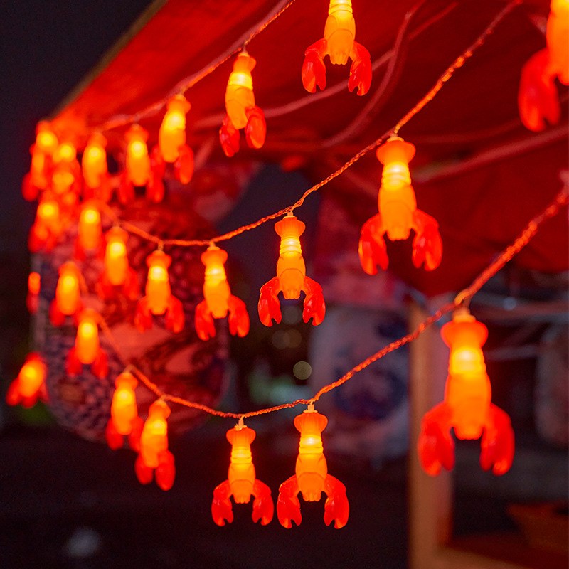 户外露营氛围灯天幕装饰满天星夜市摆摊帐篷圣诞装饰彩灯闪灯串灯