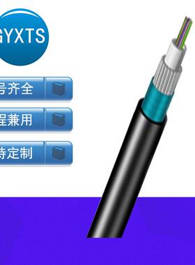 GYXTS-12B1单模光缆室外架空4/6/8芯钢丝铠装防鸟咬G652D通信光纤
