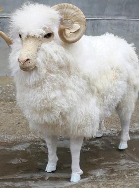 仿真皮毛动物绵羊模型工艺品橱窗装饰大号绵羊招财摆件绵羊标本
