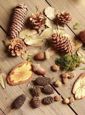 天然野外森林果子摆盘竹编篮子干果装饰套装文艺店铺摆件装饰DIY