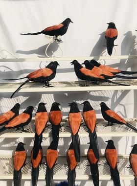 迷你版仿真红毛鸡羽毛鸡饰品装饰工艺品景观造景橱窗美陈教学演示