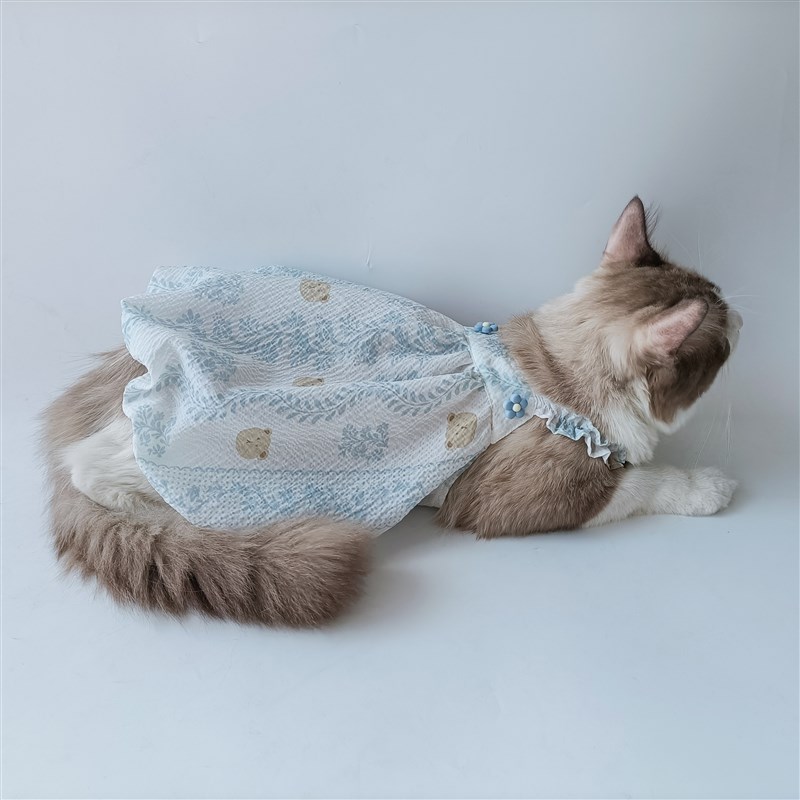 宠物猫咪可爱泡泡裙图纸 无毛猫德文猫吊带短款裙子纸样iy样版