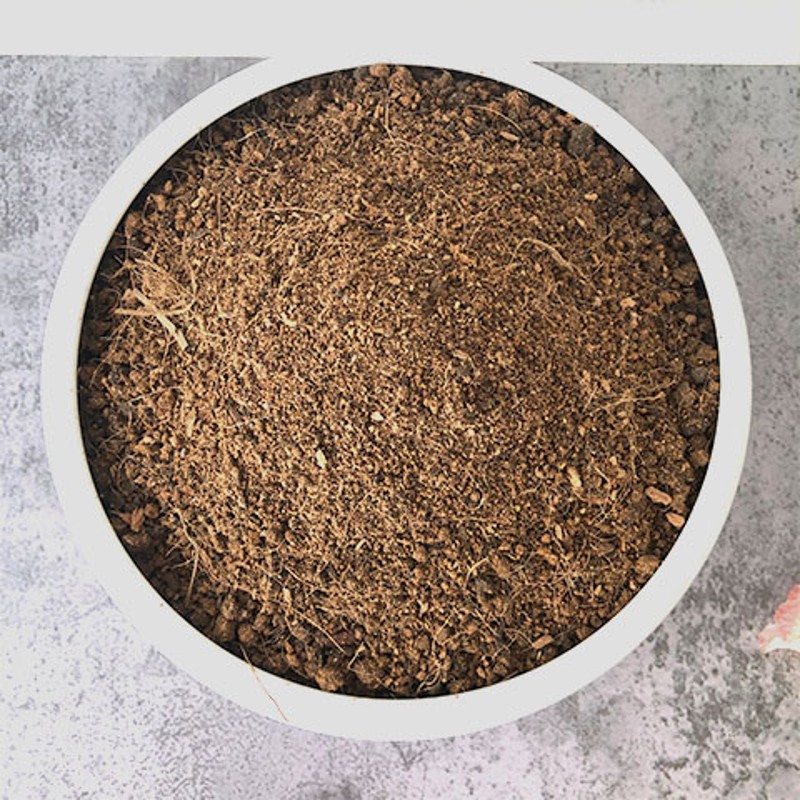 木本植物通用土盆栽盆景酸性沙质泥炭红土壤绿植种植土营养土肥料