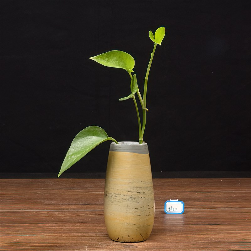 内有多款草花石国画石天然山水画奇石小天珠花瓶可装水不穿底笔筒