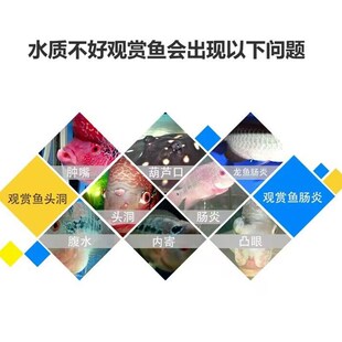 虫清灵大白片鱼用内外寄生虫头洞凸眼龙鱼罗汉鱼七彩观赏鱼杀虫腮