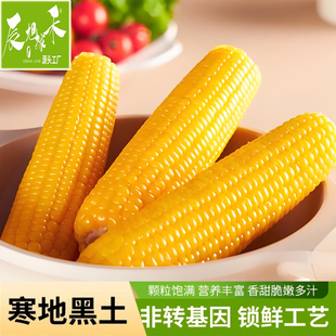 金箔装东北黄糯玉米220g*8根手提袋