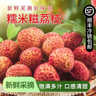 新鲜荔枝增城糯米糍当季荔枝新鲜水果现摘现发次日达顺丰京东空运