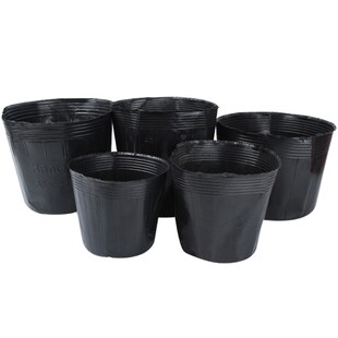 荷花盆营养钵睡莲盆水生植物盆加厚无孔塑料碗莲盆育苗杯营养杯