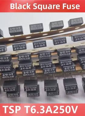 方形保险丝 TSP T6.3A250V 全新原装 慢断 间距5.08mm黑色保险丝