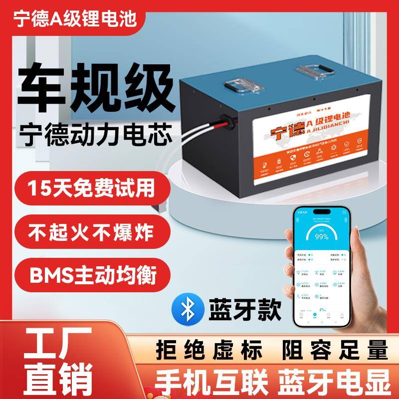 宁德电动车锂电池72v60v48V外卖长跑王磷酸铁锂电芯电瓶卧式蓝牙