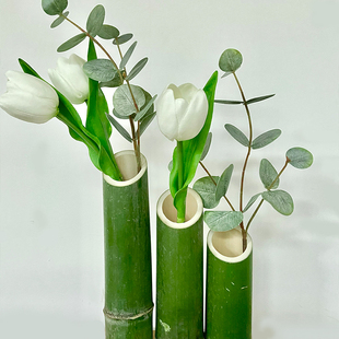 竹筒插花瓶摆件新鲜绿色竹管小竹子花艺竹节环创婚庆摆件竹筒花器